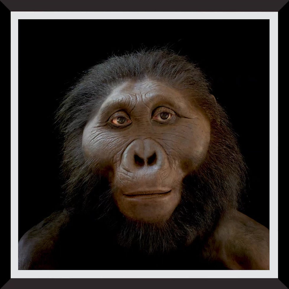 Thumbnail: Hominins by John Gurche