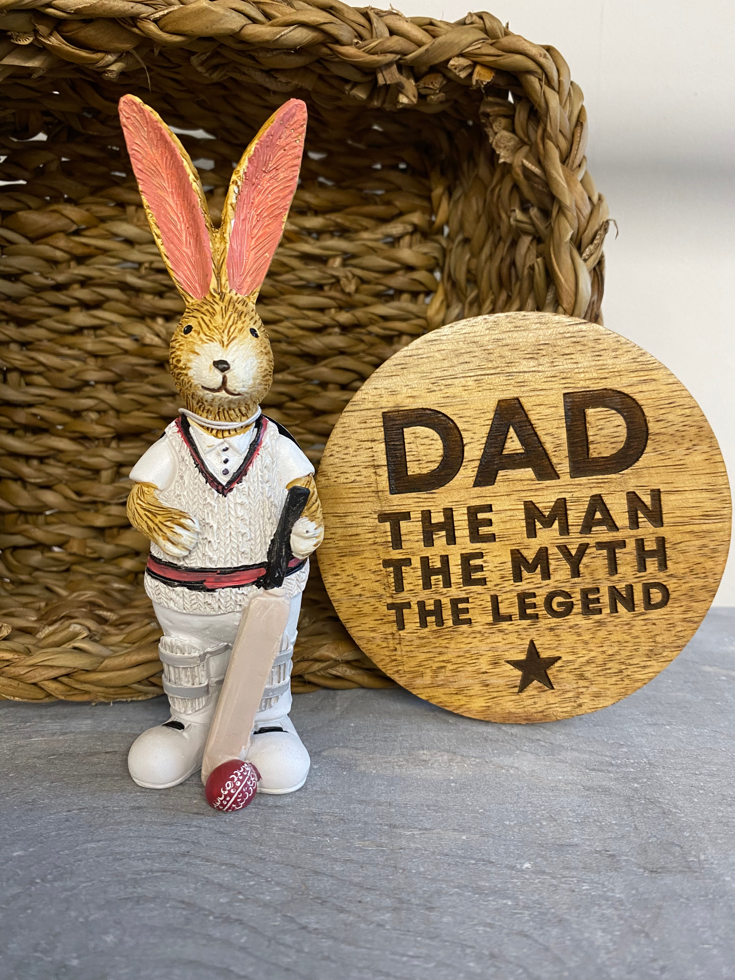 Jasper bunny - Cricketer