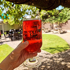 beer garden near bowland retreat lodges