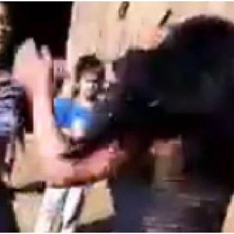 LIMÓN: PELEA ENTRE MUJERES GENERA OPINIONES DIVIDIDAS EN LA COMUNIDAD