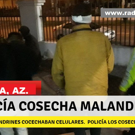 CUENCA: MALANDRINES COSECHABAN CELULARES AJENOS. AHORA, LA POLICÍA LOS COSECHÓ A ELLOS