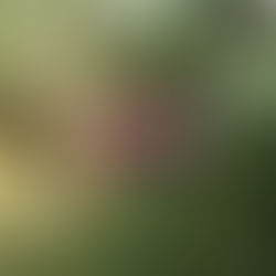 GUALAQUIZA: VARIOS ACCIDENTES DE TRÁNSITO EN MIÉRCOLES DE CENIZA