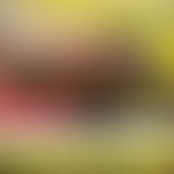 MADRE E HIJA GRAVEMENTE HERIDAS TRAS VOLCAMIENTO