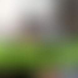 LIMÓN: VÍA ALTERNA VA, DICE SUBSECREATARIO DEL MTOP