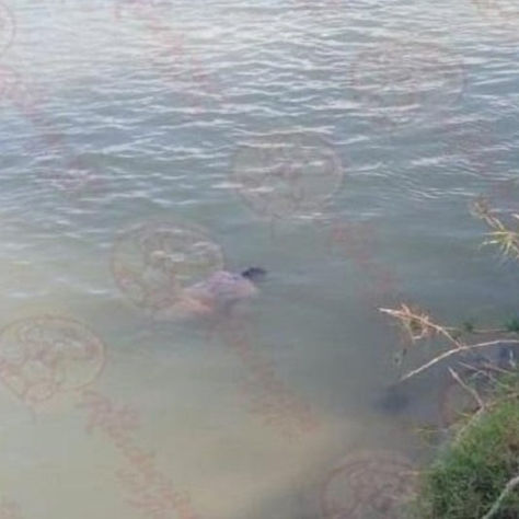 CADÁVER DE MIGRANTE FLOTANDO EN EL RÍO BRAVO