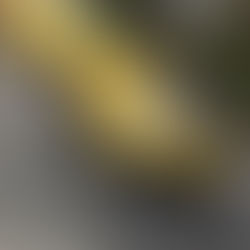 SEÑORA DENUNCIA A TAXISTA GROSERO EN CUENCA