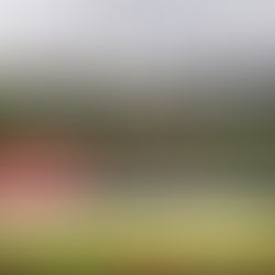 MACAS: ASESINAN BRUTALMENTE A JOVEN