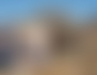 ENCUENTRAN CUERPOS DE HERMANOS MIGRANTES SIN VIDA, ABRAZADOS EN EL DESIERTO