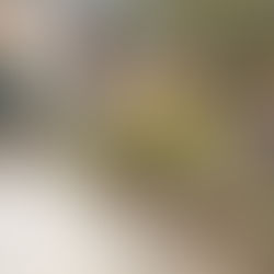 GUALACEO: ALCALDE CONTESTA INQUIETUD DE LIMONENSE SOBRE VÍA EN CHAUCÁN