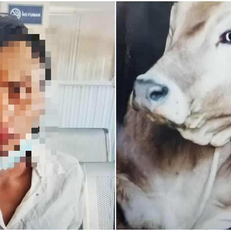 LIMÓN: CUATRERO CAPTURADO CUANDO IBA A COBRAR DINERO MALHABITO