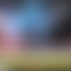 HERÓICO CONDUCTOR REALIZÓ MANIOBRA FINAL PARA EVITAR MORTANDAD