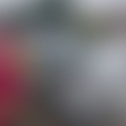 AUTO SE ESTRELLA CONTRA BUS EN CUENCA. FALLECE NIÑO