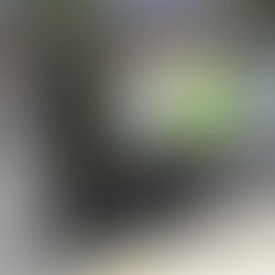 CAPTURAN EN COLOMBIA A SUJETO QUE MATÓ A GOLPES A CIUDADANO EN ORELLANA