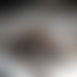 PERROS CAUSA MORTANDAD DE PATOS EN LAGUNA DE PARQUE EL PARAISO, CUENCA