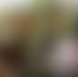 MACAS: HÉROE DE GUERRA FALLECE VÍCTIMA DEL CORONAVIRUS