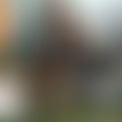 QUERIDO SACERDOTE DE LA MANÁ FALLECE EN ACCIDENTE DE TRÁNSITO