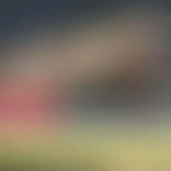 MACAS: VIOLENTO MALTRATO A MASCOTA CAUSA SU MUERTE