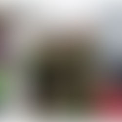 CUENCA: HIENAS QUE ASESINARON A MADRE ADOLESCENTE Y VENDIERON SU BEBÉ, CAPTURADAS