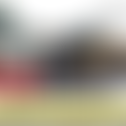 LIMÓN: ESPANTOSA MUERTE DE CONDUCTOR DE LA HH