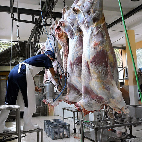 DELEGACIÓN MUNICIPAL DE GUALAQUIZA VISITA CAMAL MUNICIPAL LIMÓN. LIMÓN RECIBIÓ CERTIFICADO DE EXCEL