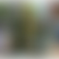 LIMÓN EN LA INDEFENSIÓN: 1 BOMBERO PARA ATENDER 10 MIL HABITANTES