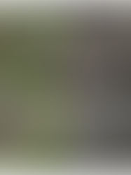 A JUICIO, ESPOSO ASESINO DE JOVEN MADRE