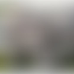 CUENCA: INICIAN INVESTIGACIONES POR MATANZA DE ANIMALES EN EXTINCIÓN