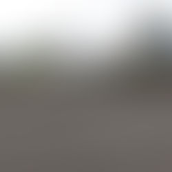 LIMÓN: "EMPRENDEDORES" ESTABLECEN "PEAJE" EN COMUNIDAD