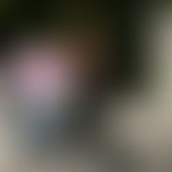 LIMÓN: NIÑOS MANOS LARGAS SE LLEVAN COSAS AJENAS