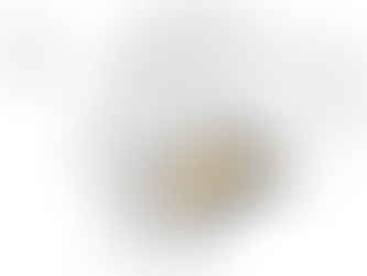 EL AUSTRO ECUATORIANO -AZUAY, CAÑAR Y MORONA SANTIAGO, ELIGIRÁ SU PRESIDENTE REGIONAL