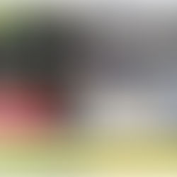 LIMÓN: TRAGEDIA EN FIN DE SEMANA