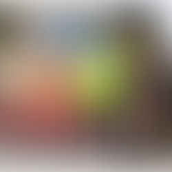 MACAS: VENDÍAN HIERVA Y POLVO EN EL CORREDOR DEL RINCÓN DEL VAGO