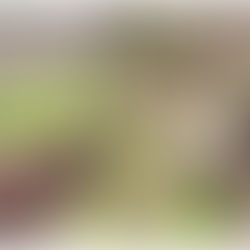 SANTA ISABEL: CIUDADANO REALIZA MACABRO HALLAZGO