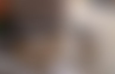 CARTA A MINISTRO SERRANO: ALTO A EL ARENAL, VERGÜENZA PARA LA “ATENAS DEL ECUADOR”