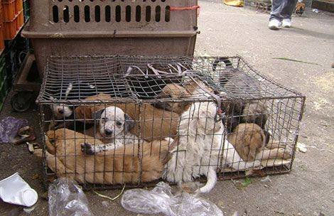 CARTA A MINISTRO SERRANO: ALTO A EL ARENAL, VERGÜENZA PARA LA “ATENAS DEL ECUADOR”