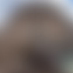 CUENCA: JUEZ CONDENADO A PRISIÓN