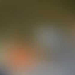 MÁS SORPRESAS EN LA GUALACEO-LIMÓN