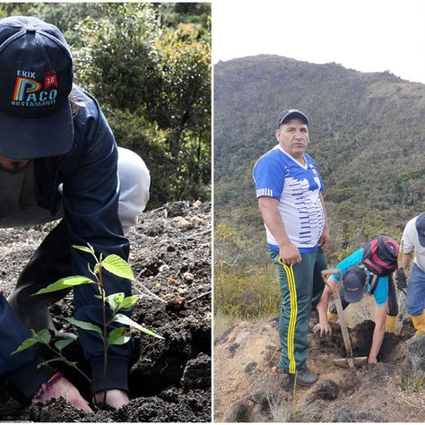 LIMÓN: ORIENTALES QUERÍAN LA VARIANTE Y ESTADO LOS PONE A SEMBRAR ÁRBOLES