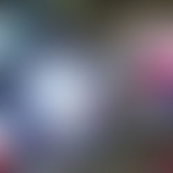 MACAS: MUER DE LA 3RA EDAD ATROPELLADA