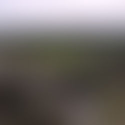 VARIOS CIUDADANOS INTOXICADOS POR INGESTA DE ALIMENTOS EN SEVILLA DON BOSCO, MORONA SANTIAGO