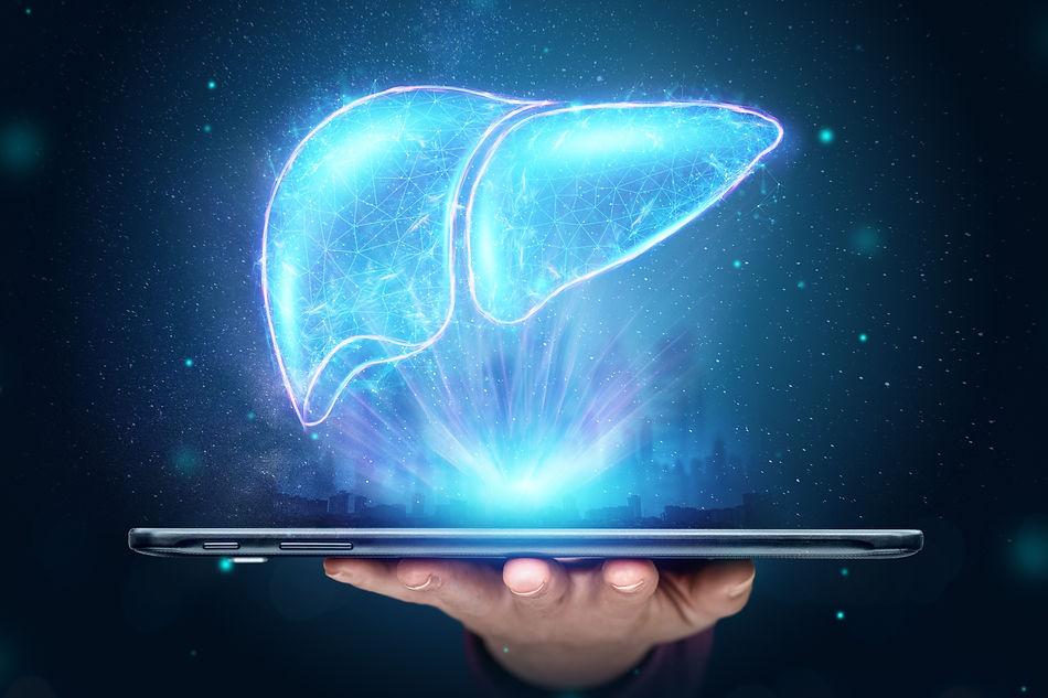 3D animated view of a liver