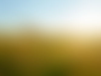 농작물재해보험에 위성 탐사기술 활용 가능할까