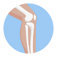 spn-bone-health