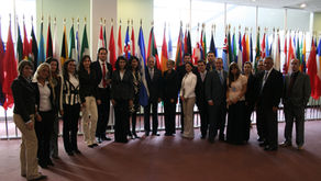 Participación de estudiantes en la ONU a través de sesiones simuladas 2008