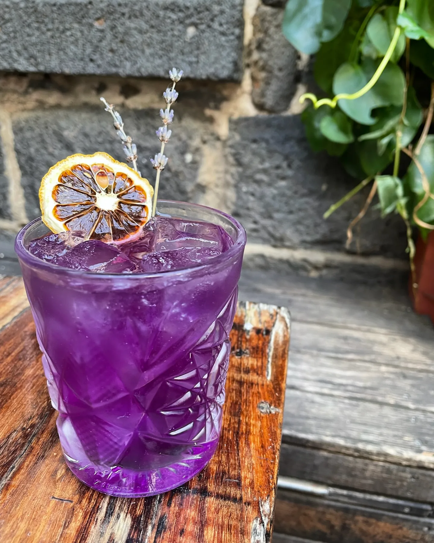 Coffin Sally lilac cocktail