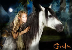 cavalia (1) copie