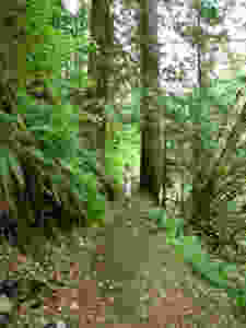IMG_27119035701509_1.jpeg