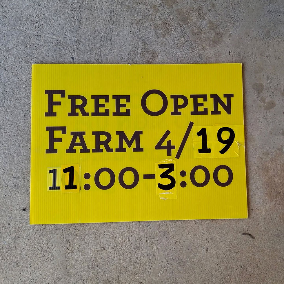 Homefields Open Farm Community Event