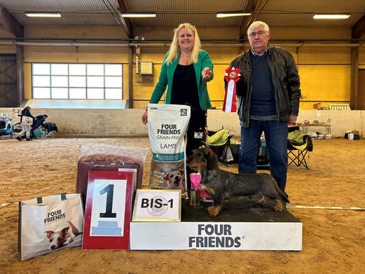 Vårutställingen 2024