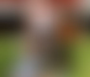 Höstprovet i Spår 2024